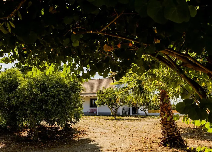 Quinta Alto Da Capela Σετούμπαλ