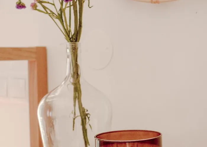 Quinta Alto Da Capela Σπίτι διακοπών *