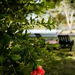Quinta Alto Da Capela Vakantiehuis