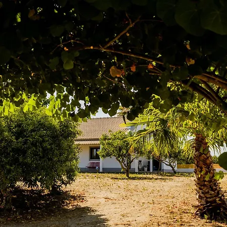 Quinta Alto Da Capela Сетубал