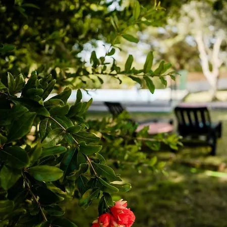 Quinta Alto Da Capela Сasa de vacaciones